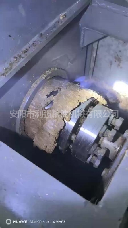 198動物油螺旋榨油機